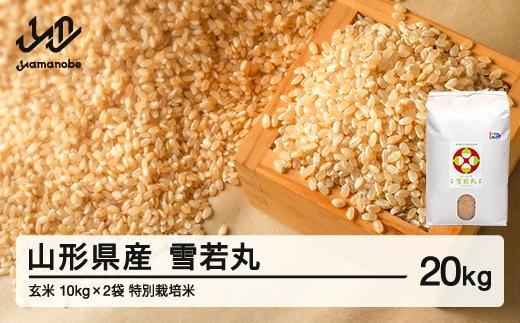 【先行予約】新米 雪若丸 玄米 20kg 配送時期選べる 1月後半発送 令和8年産 2026年産 山形県産 ※沖縄・離島への配送不可 on-ywgxb20-1s