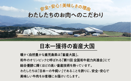 A5等級 鹿児島県産 黒毛和牛 赤身 焼肉 800g K002-051_08 肉 牛肉 冷凍