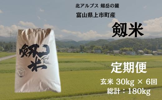 【毎月1回お届け】【定期便】【令和7年産】上市町産コシヒカリ「剱米」（玄米）30kg x 6回 計180kg　 [ソムリエH 富山県 上市町 32280253-r6-05】 米 ６ヶ月 6回定期便 定期購入 お米 コメ ご飯 ごはん 玄米ご飯 玄米ごはん こしひかり