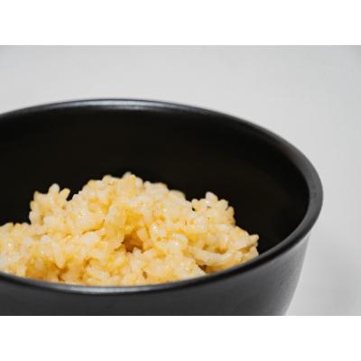 ふるさと納税 南陽市 山形つや姫玄米パックご飯　150g×12P　〜栽培期間中　農薬・化学肥料不使用〜【S1224】 |  | 03