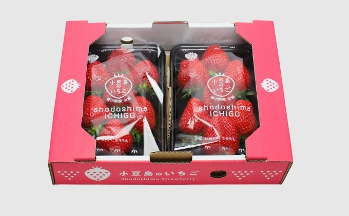 【 小豆島 】小豆島のいちご（女峰）DXパック［ 250ｇ×２パック］ 果物類 苺 イチゴ 