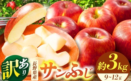 信州産 訳ありサンふじ 約３kg(8～12玉) | ふるさと納税 果物 くだもの 訳あり ワケアリ フルーツ サンふじ リンゴ りんご 林檎 信州産 長野県 松本市