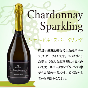 【OcciGabi Winery】シャルドネ・スパークリング・ワイン 【余市のワイン】 ワイン 白ワイン 人気ワイン スパークリングワイン シャルドネワイン 北海道のワイン 国産ワイン _Y012-0