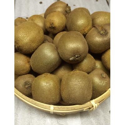 ふるさと納税 蓮田市 キウイフルーツ(グリーン)不揃い4kg以上【埼玉県蓮田産】 |  | 02