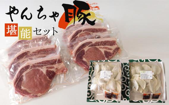 
No.036 下野市　黒沢牧場　やんちゃ豚堪能セット ／ 豚肉 ポークソテー 餃子 ニンニク餃子 栃木県 特産品
