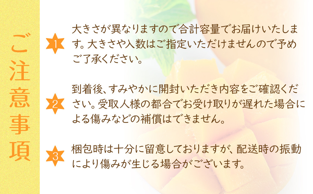 紅金煌 マンゴー 3~4個 入り 合計 1600g前後