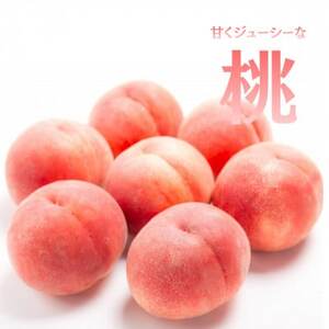 【発送月固定定期便】【2026年先行受付】旬のフルーツ定期便　桃2kg・シャインマスカット全2回【配送不可地域：離島】【4076701】