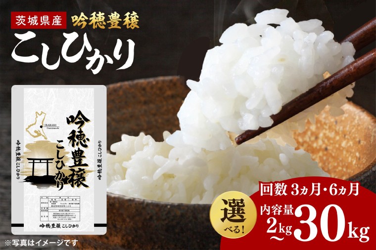 
                  【選べる内容量・定期便回数】＜令和8年産＞ 新米 吟穂豊穣こしひかり 5kg～30kg 精米 コシヒカリ こしひかり 米 ごはん コメ お米 白米 国産 茨城県産
                