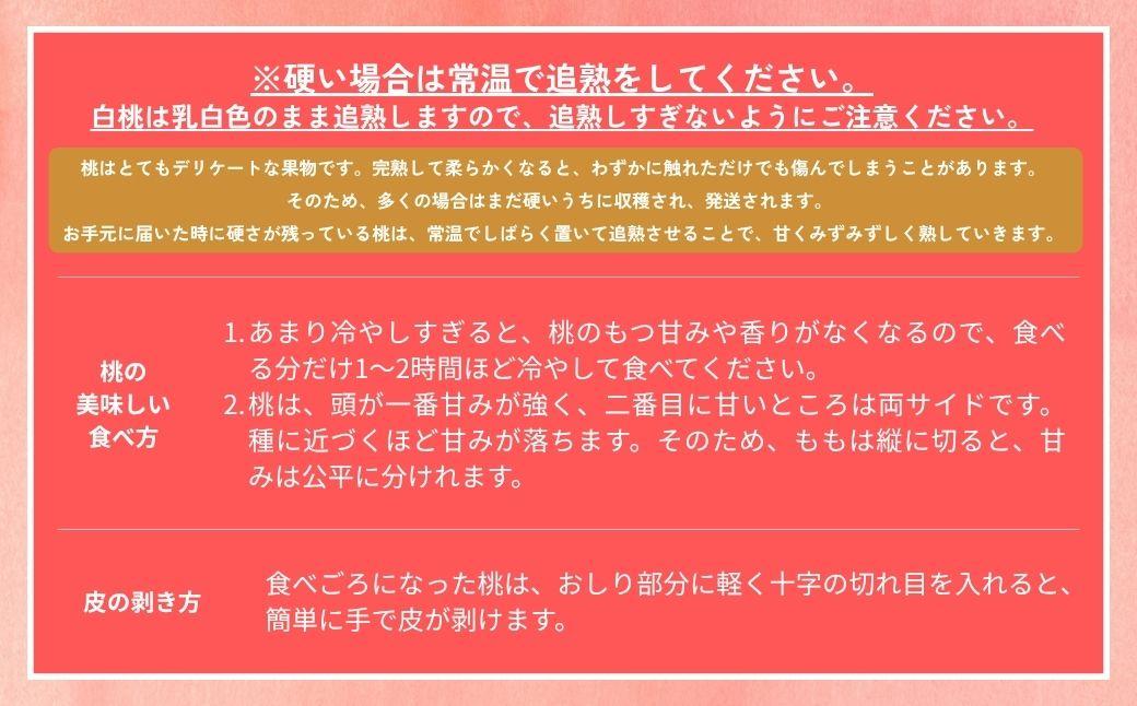 ＜数量限定＞［なんばふぁーむ］岡山県産 旬の桃 2.0kg（5～9玉）［ご家庭用］【2026年発送】 2.0kg（5～9玉）