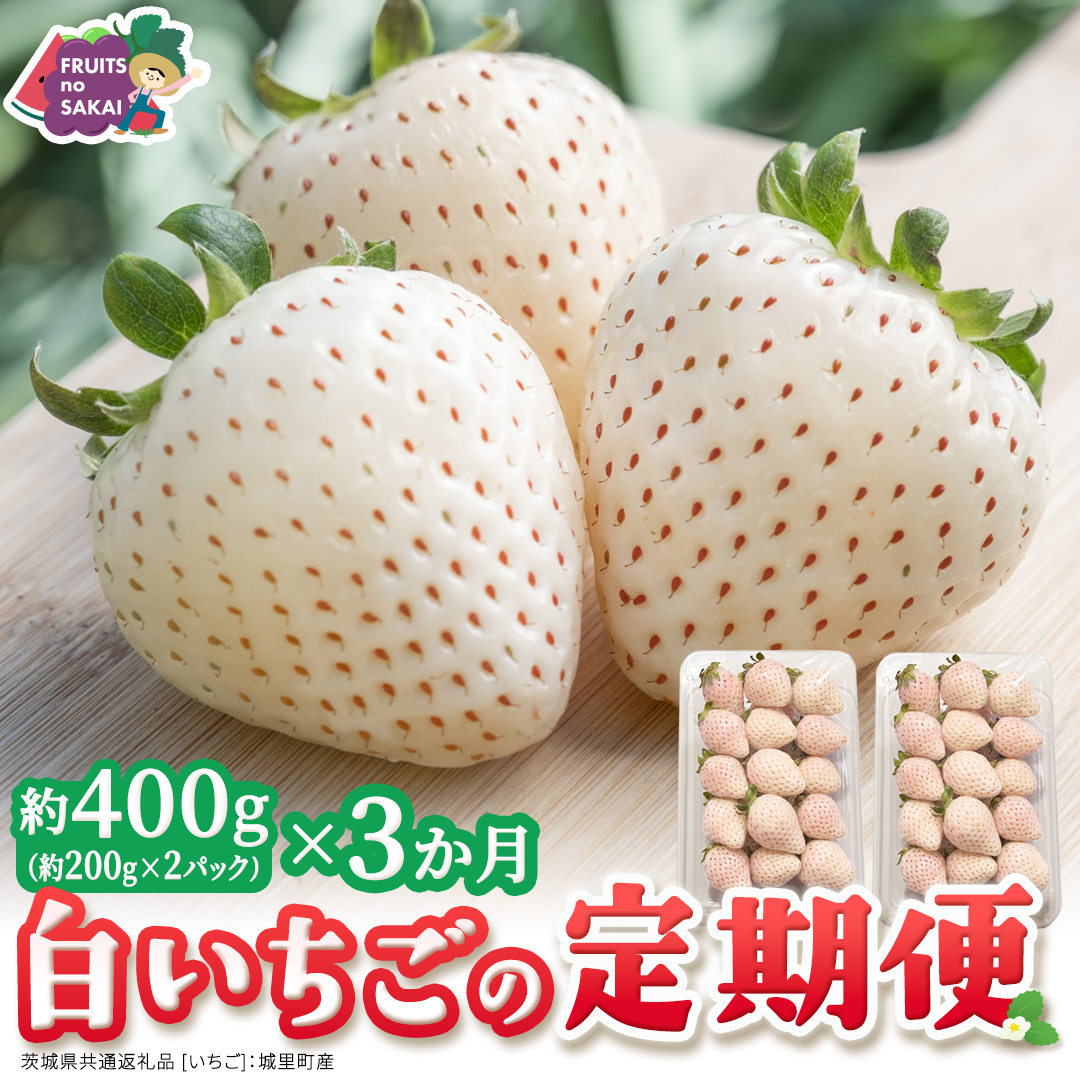 【定期便】白いちご 約200g×2パック 3ヶ月連続お届け便【2027