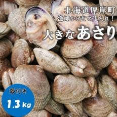 漁師から直で仕入れ!厚岸産の大きなあさり 1.3kg