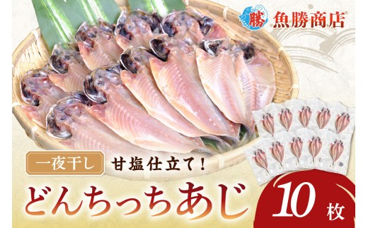 どんちっちあじ一夜干し10枚セット 魚介類 魚 干物 一夜干し あじ 鯵 セット 【136_1970】