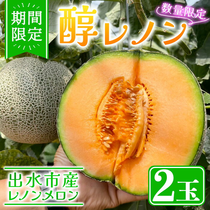 【ふるさと納税】＜先行予約受付中！2026年11月下旬から発送＞≪数量・期間限定≫ 醇レノン(1箱 2玉入り) メロン レノンメロン 国産 旬 フルーツ 赤肉 有機肥料 果物 くだもの 果肉 デザート 【Farmer friends Marche】