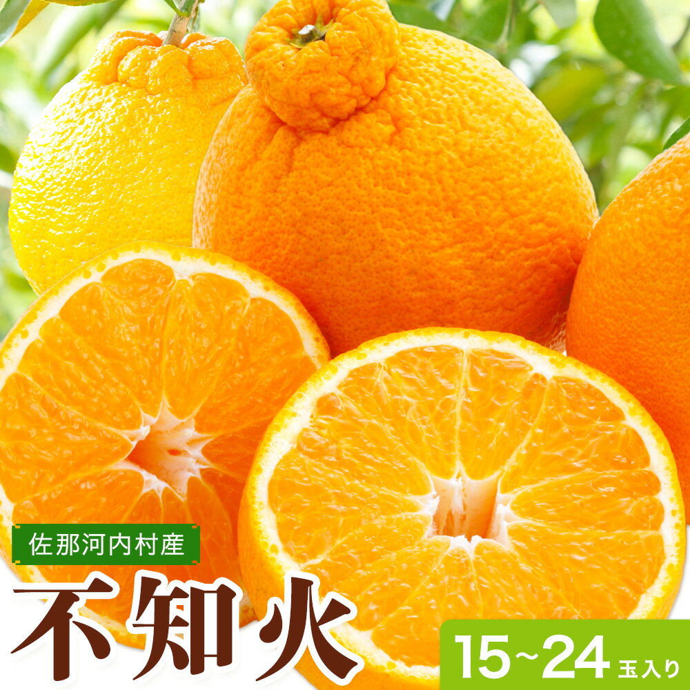 【ふるさと納税】市原さんちの不知火(しらぬい)　1箱(15玉〜24玉入り)　市原農園《3月中旬頃出荷予定》徳島県 佐那河内村 みかん 柑橘 フルーツ 果物 お取り寄せ プレゼント 送料無料 【配送不可地域あり】※離島