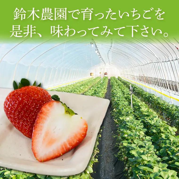 とちあいか いちご ★贈答用★ 600g 300g×2P DJ002