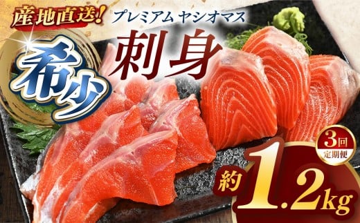 【定期便3回】産地直送栃木県のブランド魚「プレミアムヤシオマス」の刺身 1,200g (200g×6パック)   [ 冷凍便 ] | 魚 ます 養殖 産地直送 栃木県 (毎月お届け）