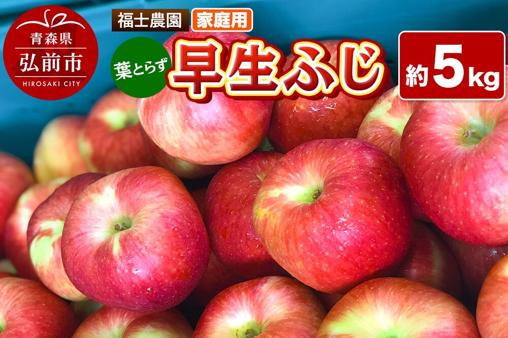 
                  【26年10月発送】りんご 葉とらず 早生ふじ【家庭用】約5kg 青森県 弘前市 [青森県産 産地直送 アップル おいしい 果実 果物 赤色 美味]
                