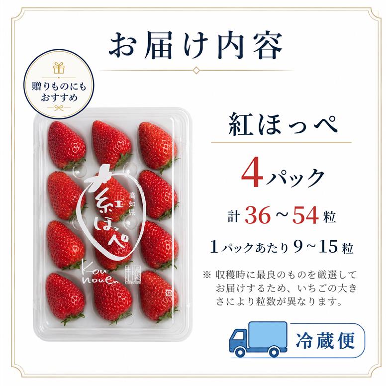 先行予約 いちご 苺 紅ほっぺ 贈答品 4パック：36～54粒 （2027年1月発送開始） | さちのか あきひめ 高級 厳選 こだわり 贅沢 贈り物 ギフト プレゼント 限定 お取り寄せ 旬 甘い 大粒 高糖度 産地直送 期間限定 高知県 南国市