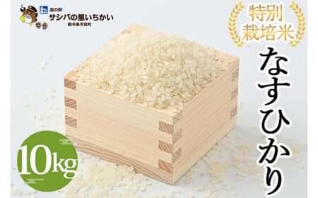 市貝町産 特別栽培米〈なすひかり〉10kg ｜ 国産 栃木県産米 お米 特別栽培米 精米 白米 栃木米 とちぎ米 ※離島への配送不可 ※9月中旬頃より順次発送予定
