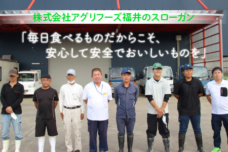 【令和7年産】 おおかわさんちの華越前 玄米 30kg [D-10805]