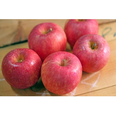 【26年5月出荷予定】平均糖度13度以上! 有袋ふじ 約5kg 訳あり CA貯蔵 クール便【配送不可地域：離島・沖縄県】【1613039】