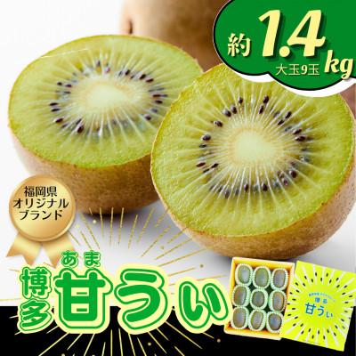 ふるさと納税 広川町 【2026年11月上旬発送開始】甘さ溢れるキウイフルーツ『博多甘うぃ』大玉9玉約1.4kg(広川町)