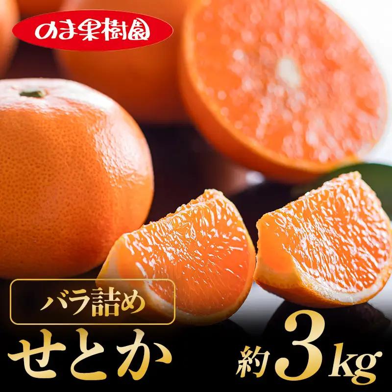 【先行予約】せとか（3kg）