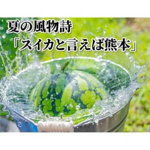 小玉すいか 秀品 2玉 約2～3kg【2025年5月下旬～7月下旬発送予定】【1586188】