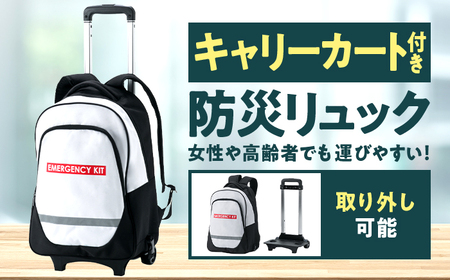 緊急防災４６点セット｜防災グッズ 1人用 災害グッズ 防災バッグ 防災リュック 避難グッズ 避難セット 防災 食 女性 トイレ 水 食品 非常食 ライト 地震 台風 送料無料 （8-5000E）