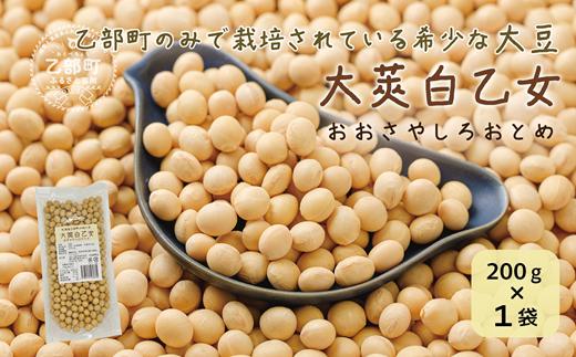 使い方色々！豆乳にもぴったり！【大莢白乙女大豆 1袋】＜ 豆乳 大粒 甘い 乙部町地大豆 北海道 北海道産 道産 国産 国産大豆 乙部町 地大豆 特産品 大豆 甘い 大粒 コク  イソフラボン 栄養 腸活 髪 肌  常温 送料無料 ＞