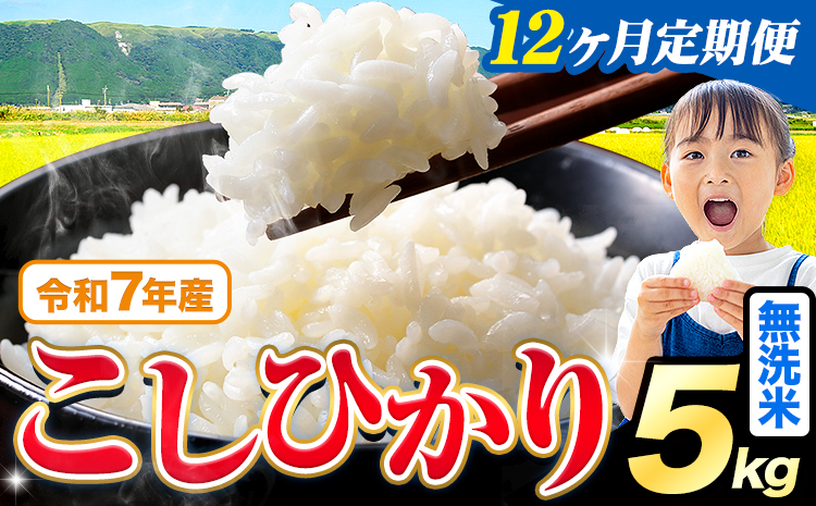 【12ヶ月定期便】令和7年産 米 無洗米 こしひかり 5kg《お申込み翌月から出荷》熊本県産 ふるさと納税 無洗米 ひの 米 こめ ふるさとのうぜい コシヒカリ コメ お米 おこめ---reihoku_loc_456_mo12---