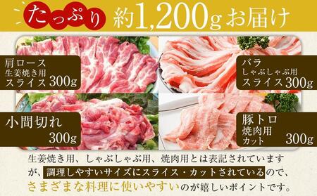 ＼寄附額改定／【年内発送】瀬戸内育ち “極上”の豚肉「瀬戸のもち豚せと姫」バラエティセット約1,200g (肩ロース・バラ・小間切れ・豚トロ 各300g)【肉 豚肉 豚バラ ロース スライス 食べ比べ