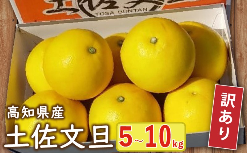 
            【 訳あり 】 土佐文旦 5kg ～ 10kg 2026年2月より発送 高知県産 柑橘 フルーツ 文旦 ぶんたん ブンタン 果物 みかん 蜜柑 柑橘 産地直送 期間限定 季節限定 訳あり品 高知県 須崎市 MN0021-xALL
          
