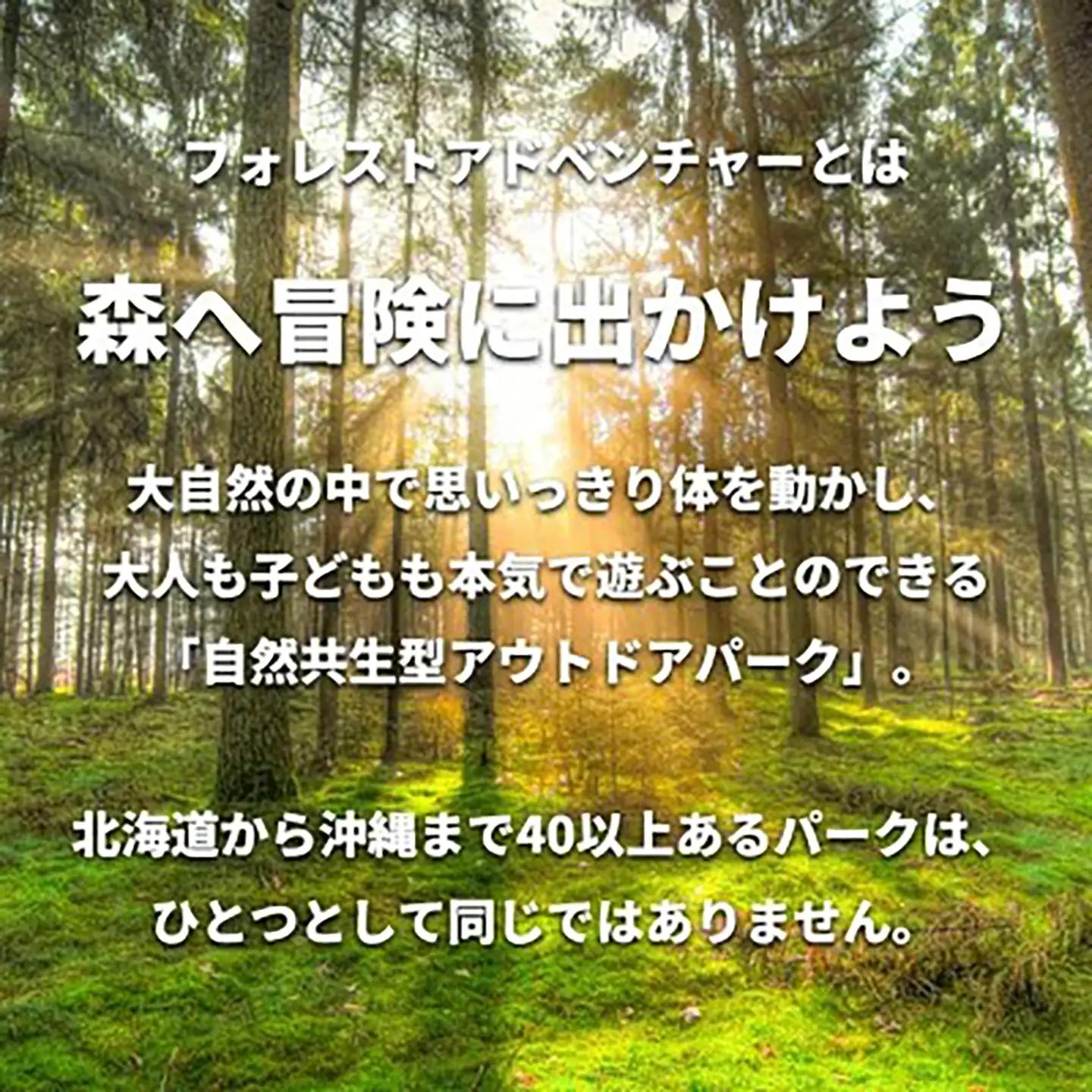 フォレストアドベンチャー・つくば＜アドベンチャーコース＞2名様体験チケット │ 体験チケット