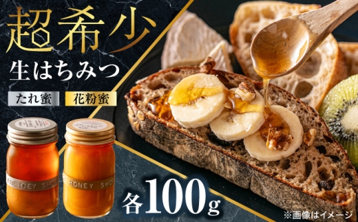 【お中元対象】【1週間以内発送】 超希少【天然】日本蜜蜂 生はちみつ たれ蜜・花粉蜜 計200g ハニーディッパー付き　【食べチョクアワード2023 3位入賞】　 日田市/総合環境計画研究所 the honey shop はちみつ 蜂蜜 ハチミツ 国産 無添加 非加熱 二ホンミツバチ天然蜂蜜 [ARBN001]