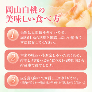 【2026年先行受付】 白桃 ニューピオーネ 約1.2kg セット 桃 2玉 ぶどう 1房 岡山県産  御中元 ギフト 御礼 プレゼント 御礼 御祝 御供 果物 くだもの フルーツ もも モモ 葡萄 