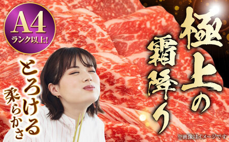 熊本県産 A5等級 黒毛和牛 和王 ウデスライス 約400g【帝神志方ミート 株式会社】[AYCH069]