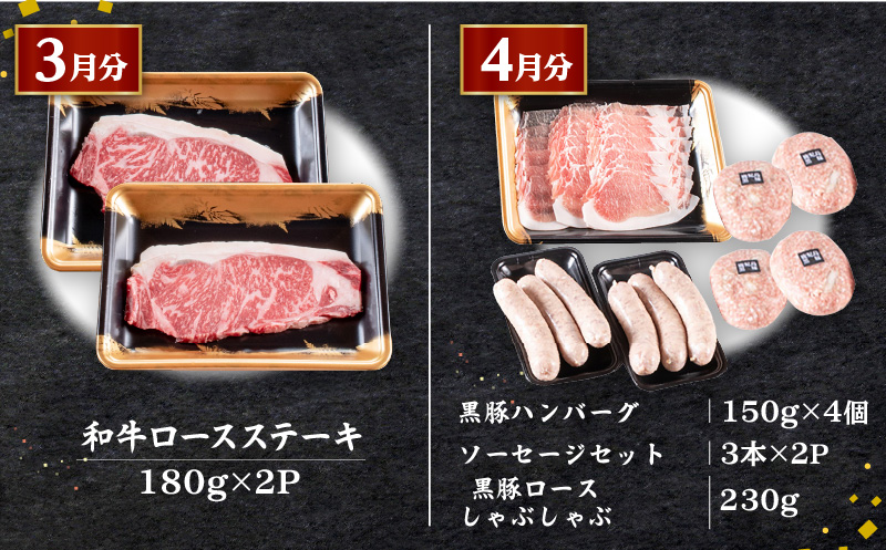 【全10回定期便】鹿児島自慢の豚・牛・うなぎ「満足定期便」　K086-T11
