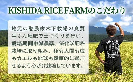 新潟県産新之助 霊峰米山 お米のお山のふもとから 上越柿崎 岸田米 新之助（ぼくらのMaiMaiMaiバージョン） 白米5kg 米 名水 こめ おすすめ 人気 ふるさと納税 新潟 新潟県産 にいがた 
