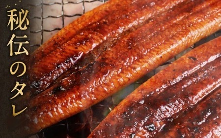 ヤマジュウ厳選うなぎ４尾 ＿ 国産 ウナギ 鰻 土用の丑の日 蒲焼き