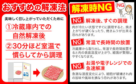 【3ヶ月定期便】牛肉 切り落とし 大容量 小分け 600g(300g×2)  牛肉