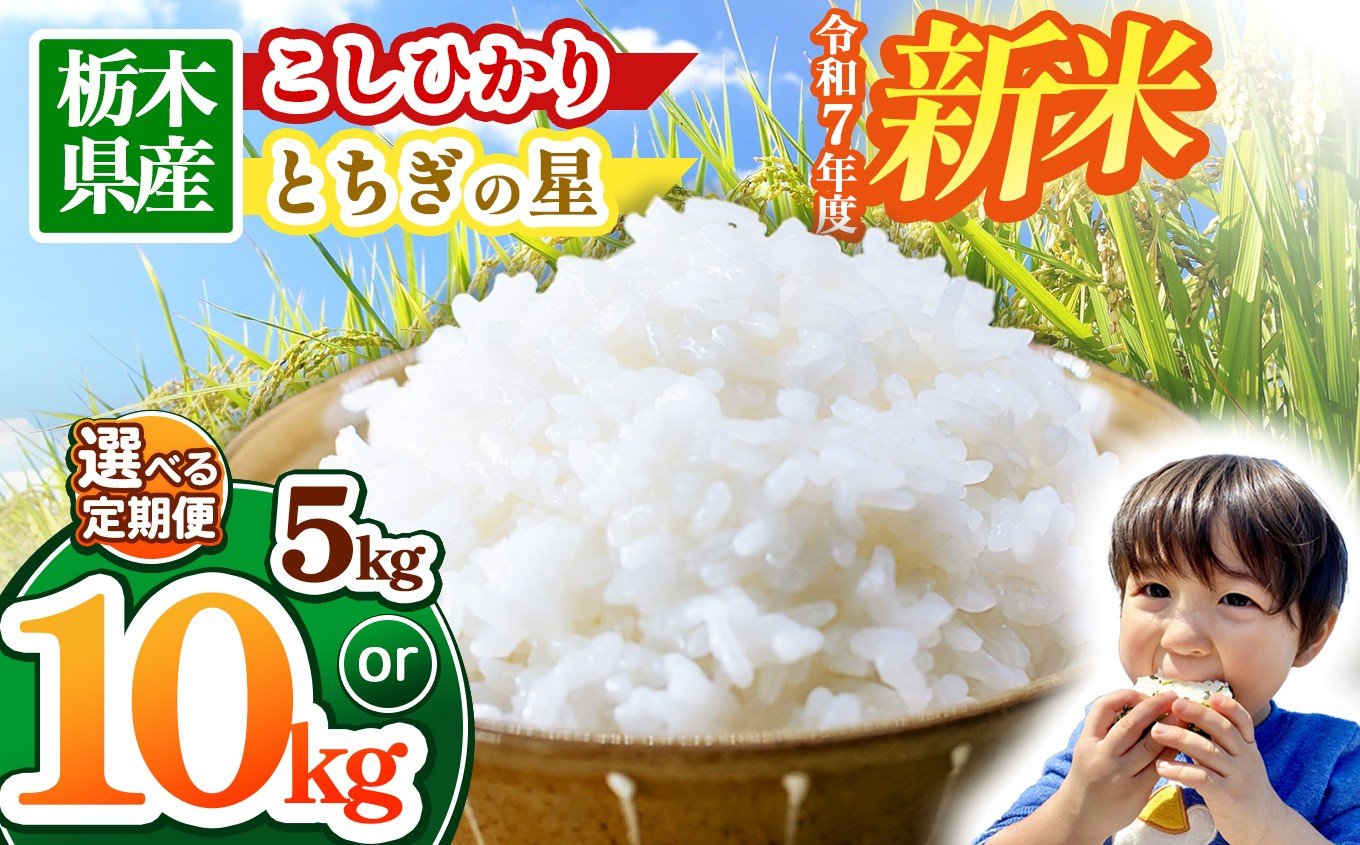 
            【栃木県共通返礼品】【令和7年度新米先行予約】【選べる定期便！】【選べる品種】栃木県産コシヒカリ とちぎの星 5kg~30kg |定期便 選べる 10月発送 11月発送 12月発送 ふるさと 納税 コシヒカリ とちぎの星 お米 精米 白米 玄米 大粒 共通返礼品 送料無料 那珂川町 栃木県
          