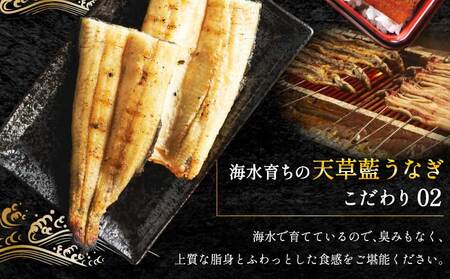 【ミシュラン1つ星店 採用】うなぎ 国産 紅白3-4尾セット600g 海水育ちの天草藍うなぎ 天草藍うなぎ 天草うなぎ 国産うなぎ 熊本県産うなぎ