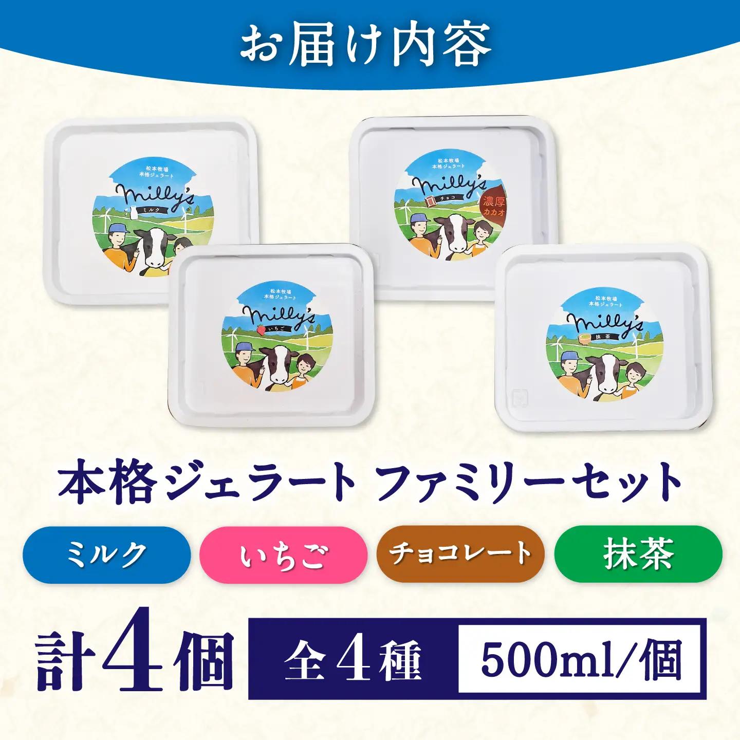 本格ジェラート ファミリーセット 500ml×4個 / ジェラート アイス アイスクリーム ギフト 贈答 / 佐賀県 / 松本アイス工房[41AOAA004]