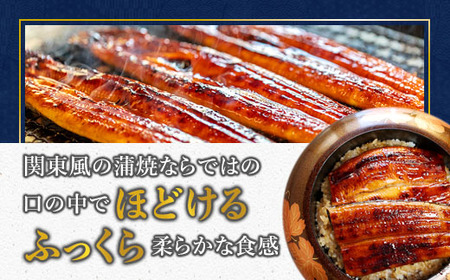 浜名湖産 うなぎ蒲焼き 特製タレ付き 1尾