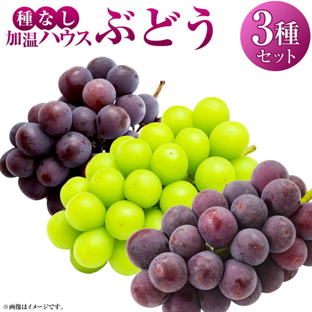 【ふるさと納税】【先行予約】有機配合肥料使用 種なし 加温ハウスぶどう 3種セット 【2026年7月下旬～8月上旬より順次発送予定】【春光園】 ぶどう ブドウ 葡萄 果物 フルーツ 詰め合わせ 冷蔵 送料無料 福岡県 うきは市