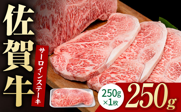 
佐賀牛 贅沢 サーロインステーキ 250g×1枚（計250g）【株式会社いろは精肉店】 [IAG050]
