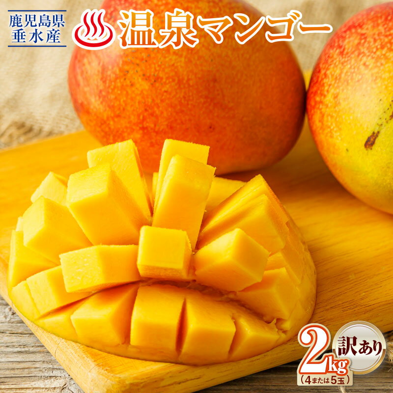 【ふるさと納税】【訳あり】【期間設定】 鹿児島県産 マンゴー 2kg 4～5玉でお届け 先行予約 期間限定 フルーツ 果物 トロピカルフルーツ トロピカル 完熟マンゴー 温泉マンゴー 濃厚 甘い 産地直送 規格外 鹿児島県 【財宝】 B2-22134