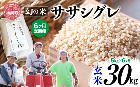 【 6回 定期便 】ササシグレ 玄米 5kg × 6回 （ 合計 30kg ）げんまい 米 こめ おこめ お米 ささしぐれ おいしい 