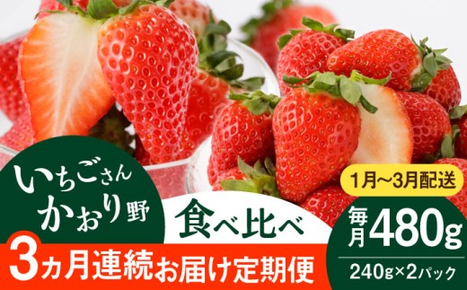 【先行予約 2027年1月～発送】【3回定期便】赤いちご食べ比べ！かおり野＆いちごさん 定期便【StrawberryFarm-K】  佐賀県 白石 [IBJ007]